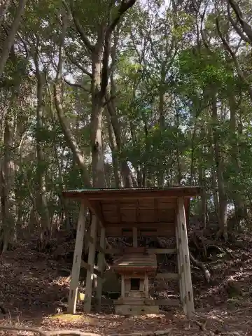 天津日神社の本殿・本堂