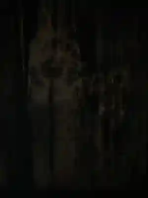 永保寺(岐阜県)