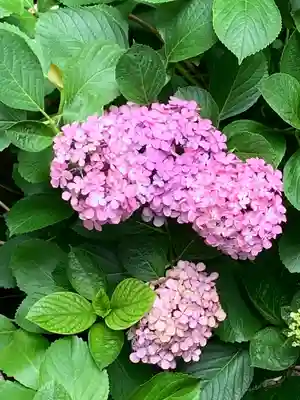 野中神社(宮城県)