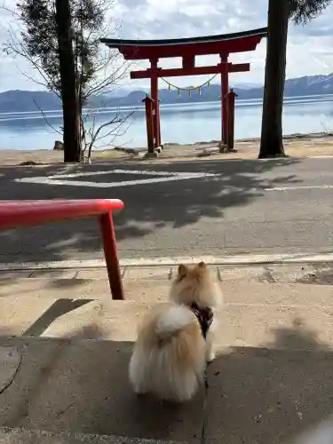 御座石神社の{uncategorized: "未分類", other: "その他", undefined: "問題あり", building: "その他建物", grave: "お墓", sacred_gate: "鳥居", guardian: "狛犬", statue: "像", buddha: "仏像", history: "歴史", nature: "自然", garden: "庭園", animal: "動物", pagoda: "塔", temizu: "手水舎", mountain_gate: "山門・神門", sanctuary: "本殿・本堂", subordinate: "末社・摂社", art: "芸術", scenery: "景色", jizo: "地蔵", ema: "絵馬", goshuin: "御朱印", omikuji: "おみくじ", items: "授与品その他", amulet: "お守り", goshuincho: "御朱印帳", eats: "食事", festival: "お祭り", votive_dance: "神楽", shichigosan: "七五三参", wedding: "結婚式", experience: "体験その他", initially: "初詣", around: "周辺", anti_infection: "感染症対策"}