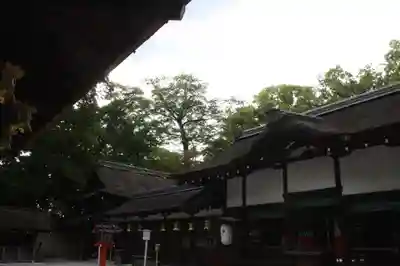 河合神社（鴨川合坐小社宅神社）(京都府)