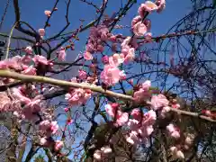 北野天満宮(京都府)