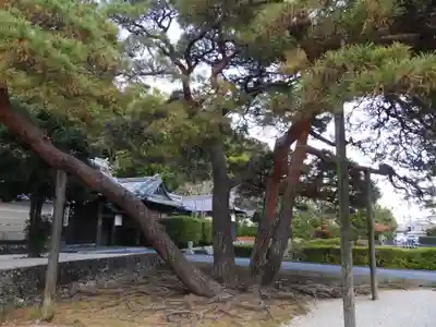 臨済寺(静岡県)