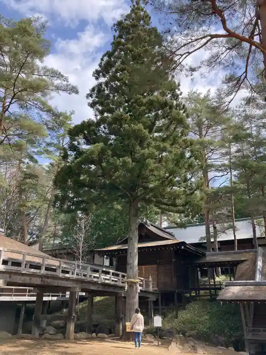 身曾岐神社のその他建物