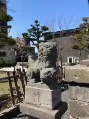 札幌神社の狛犬