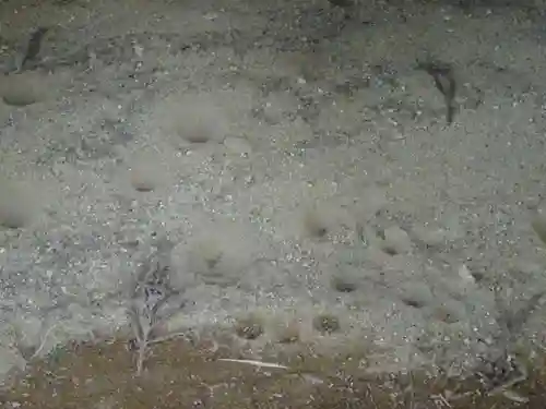 高倉神社の動物