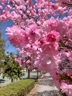 滑川神社 - 仕事と子どもの守り神(福島県)