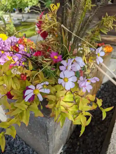 勝林寺(京都府)