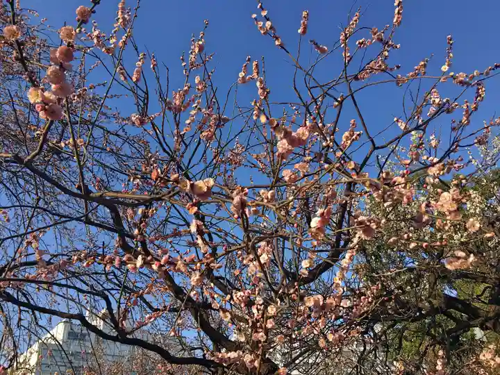 湯島天満宮の庭園