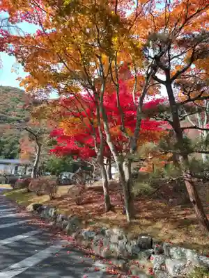 佛光山本栖寺(山梨県)