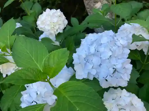 蓮華峯寺(新潟県)