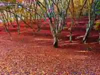 栄存神社(宮城県)
