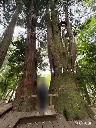 白山比咩神社(石川県)