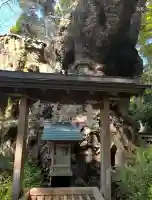來宮神社(静岡県)