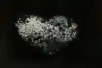 磐椅神社の自然