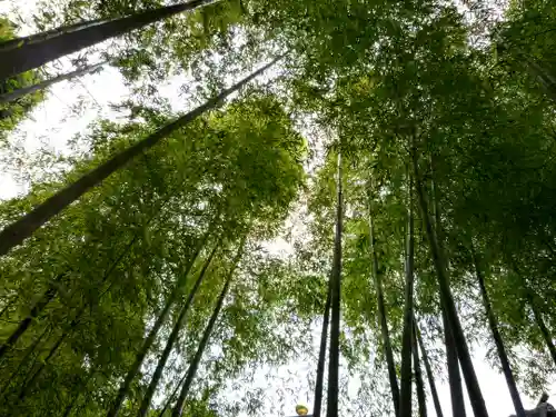 長谷寺の庭園