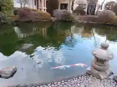 龍澤山祥雲寺(東京都)