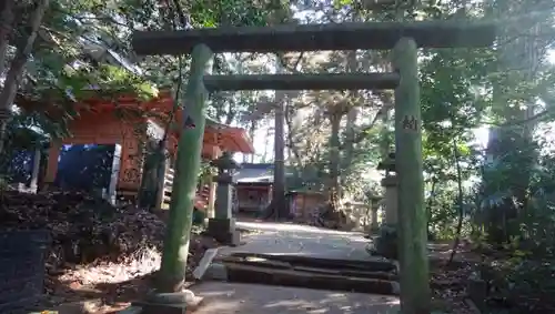 新宮神社の鳥居