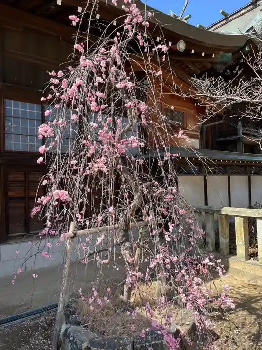 御厨神社(兵庫県)