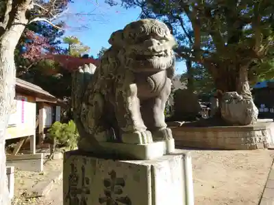 鶴谷八幡宮の狛犬