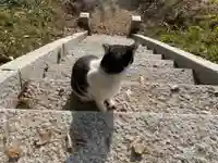 春日神社(千葉県)