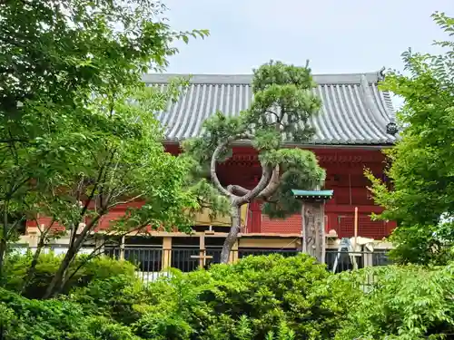 清水観音堂の自然