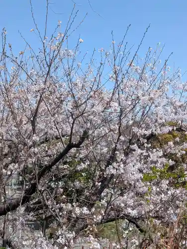 和田山琴平神社(神奈川県)