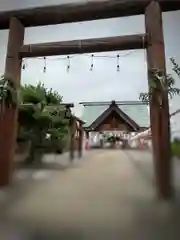 七重浜海津見神社の鳥居