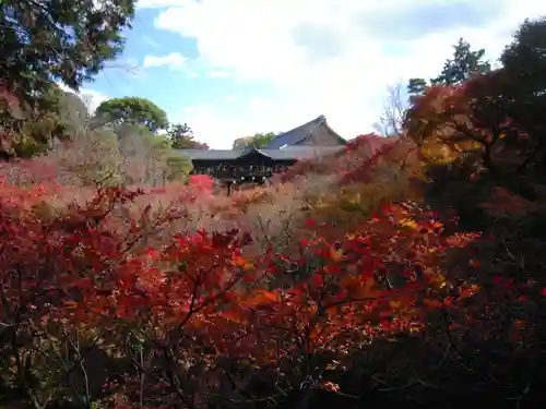 東福禅寺（東福寺）の自然