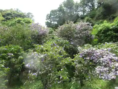 了仙寺(静岡県)