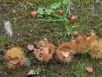 小澤神社(北海道)