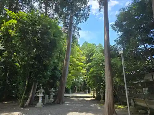 御上神社(滋賀県)
