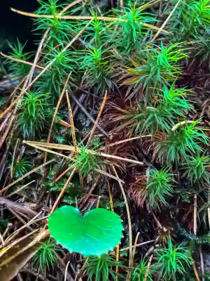 横岳神社(長野県)