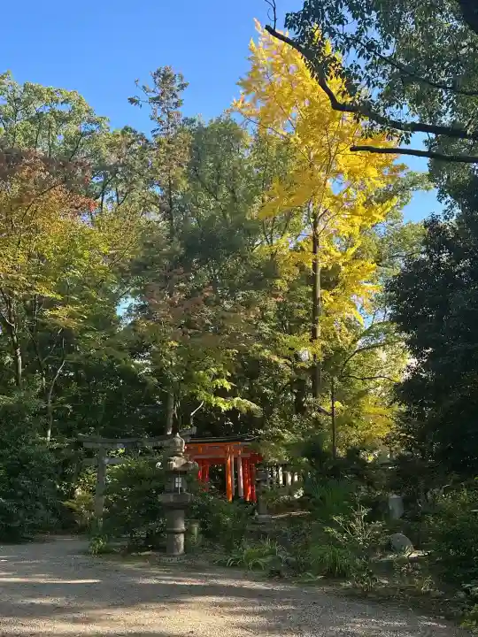 御霊神社(上御霊神社)(京都府)