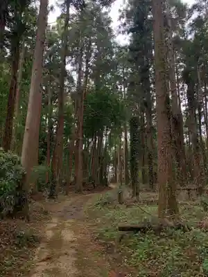 天満神社(千葉県)