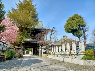 高安寺(東京都)