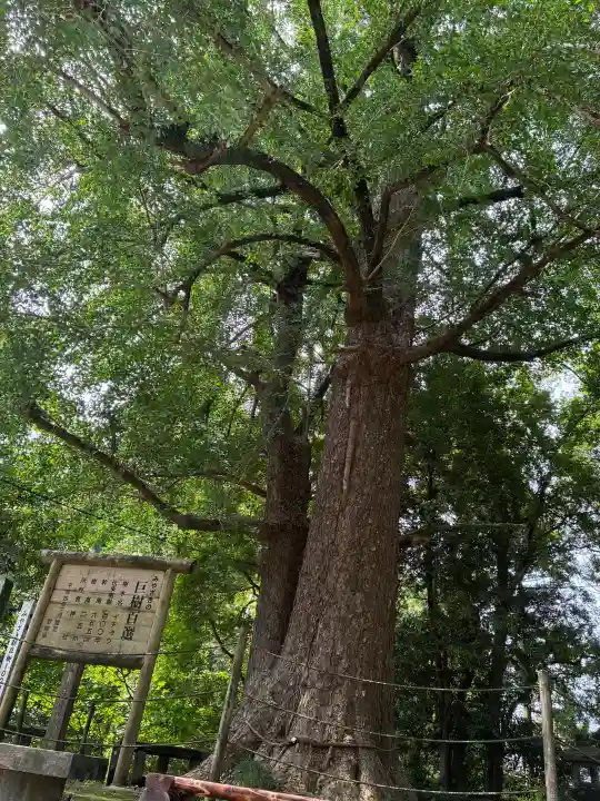 生目神社(宮崎県)