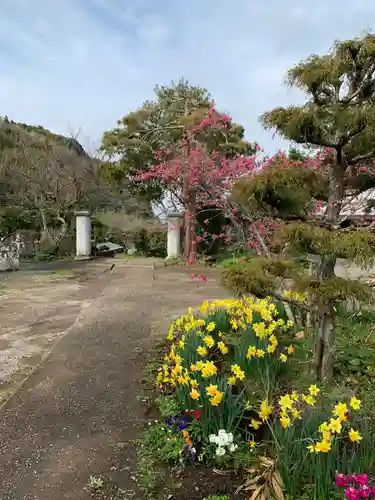 寿薬寺の庭園