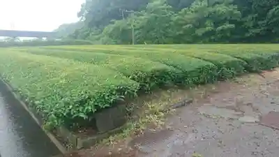 妙蓮寺(静岡県)