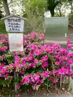 上野大佛(東京都)