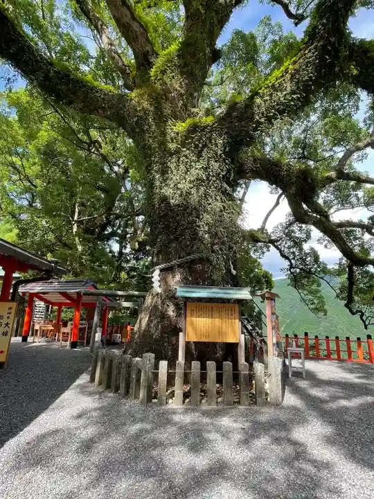 熊野那智大社(和歌山県)