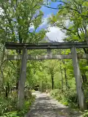 穂高神社奥宮の鳥居