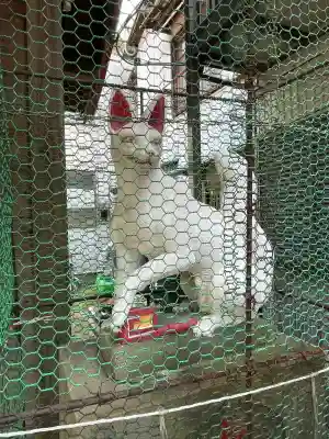 烏巣之森稲荷大明神(神奈川県)