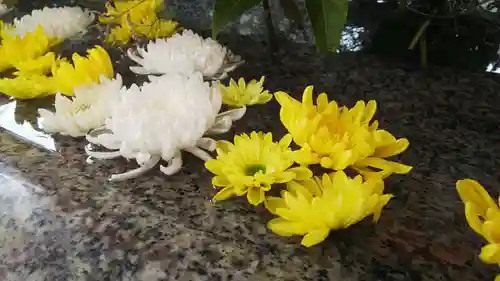 生田神社の手水舎