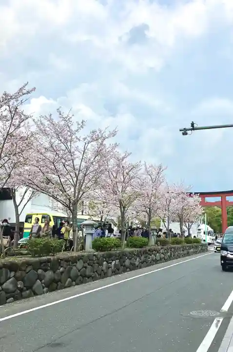 鶴岡八幡宮(神奈川県)