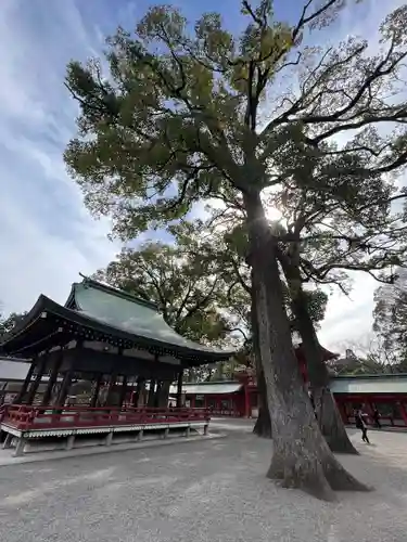 武蔵一宮氷川神社(埼玉県)