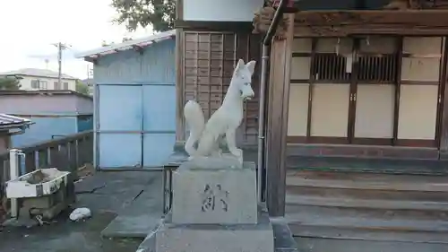 稲荷神社（今井）の狛犬