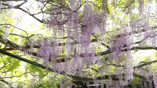 國領神社の{uncategorized: "未分類", other: "その他", undefined: "問題あり", building: "その他建物", grave: "お墓", sacred_gate: "鳥居", guardian: "狛犬", statue: "像", buddha: "仏像", history: "歴史", nature: "自然", garden: "庭園", animal: "動物", pagoda: "塔", temizu: "手水舎", mountain_gate: "山門・神門", sanctuary: "本殿・本堂", subordinate: "末社・摂社", art: "芸術", scenery: "景色", jizo: "地蔵", ema: "絵馬", goshuin: "御朱印", omikuji: "おみくじ", items: "授与品その他", amulet: "お守り", goshuincho: "御朱印帳", eats: "食事", festival: "お祭り", votive_dance: "神楽", shichigosan: "七五三参", wedding: "結婚式", experience: "体験その他", initially: "初詣", around: "周辺", anti_infection: "感染症対策"}