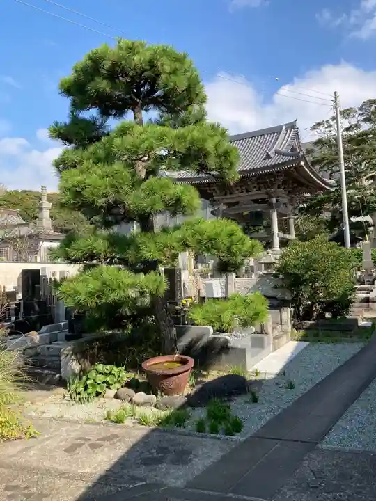蓮乗院(神奈川県)