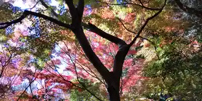 覚園寺(神奈川県)